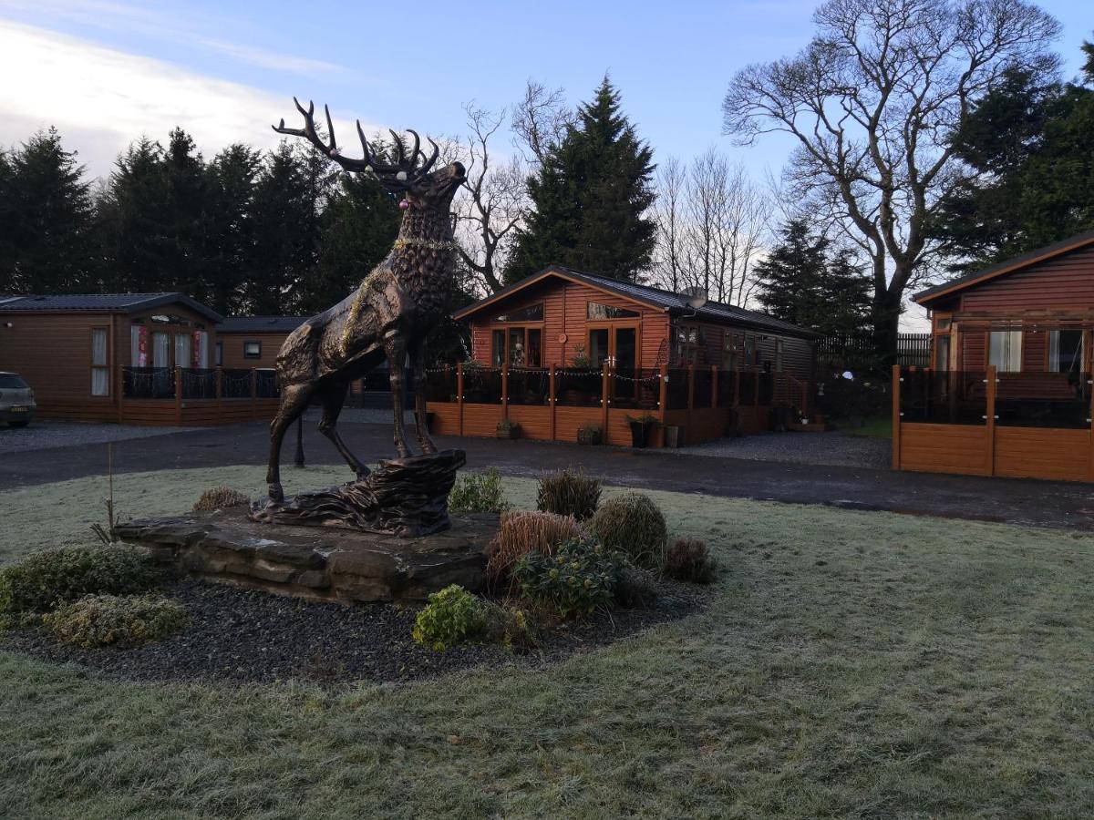 12 Burnside Lodge Auchterarder Buitenkant foto